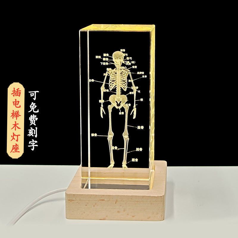 Crystal 3D inner carving human skeleton brain model teaching display ornament medical school sends souvenirs to doctors and students