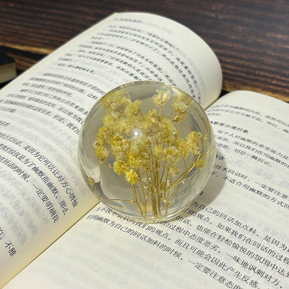 Creative dandelion dried flower specimen crystal ball resin natural wood crafts ornaments home decoration gifts