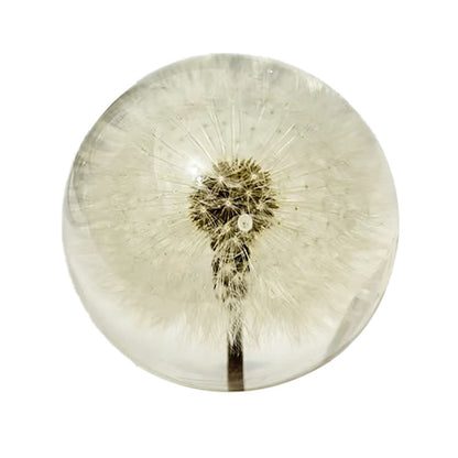 Creative dandelion dried flower specimen crystal ball resin natural wood crafts ornaments home decoration gifts