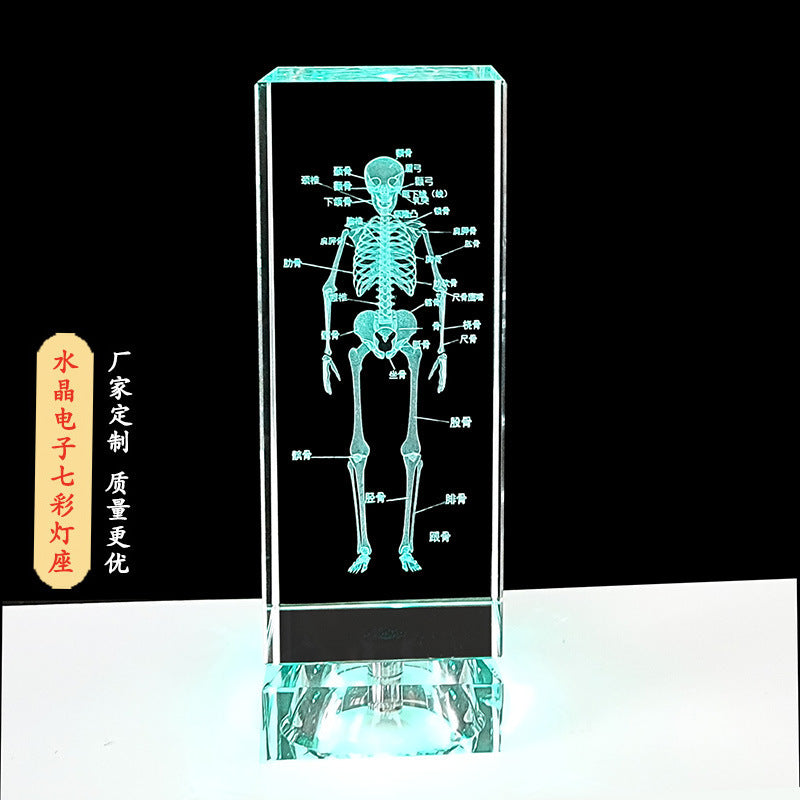 Crystal 3D inner carving human skeleton brain model teaching display ornament medical school sends souvenirs to doctors and students