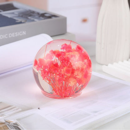 Cross-border Amazon e-commerce explosive real dandelion ecological specimens high permeability plant crystal ornaments gifts are selling well