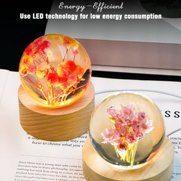 Senior romantic birthday gifts, real flowers, resin frozen ball ornaments, holiday gifts for girls, friends, girlfriends, mothers