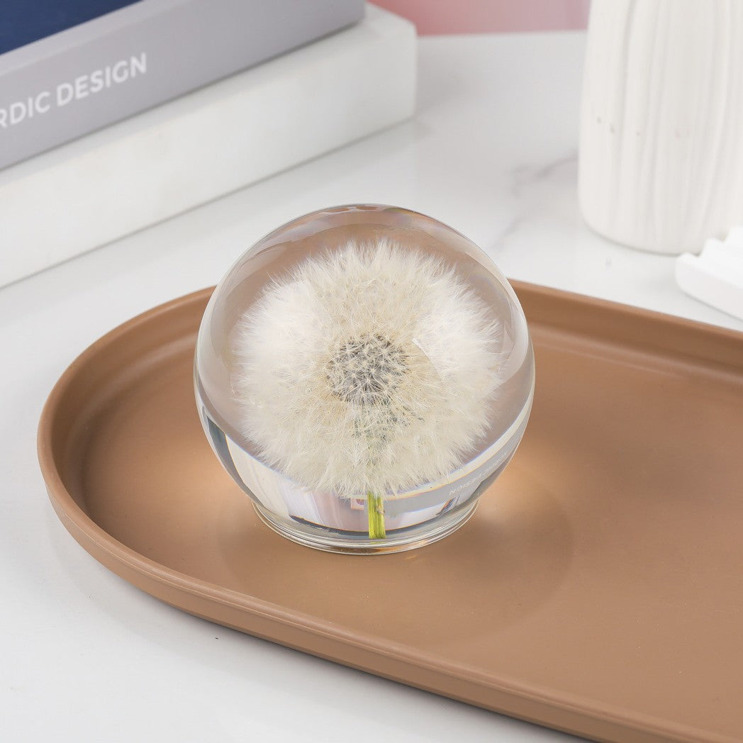 Cross-border Amazon e-commerce explosive real dandelion ecological specimens high permeability plant crystal ornaments gifts are selling well