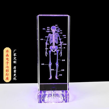 Crystal 3D inner carving human skeleton brain model teaching display ornament medical school sends souvenirs to doctors and students