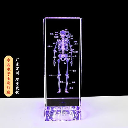 Crystal 3D inner carving human skeleton brain model teaching display ornament medical school sends souvenirs to doctors and students