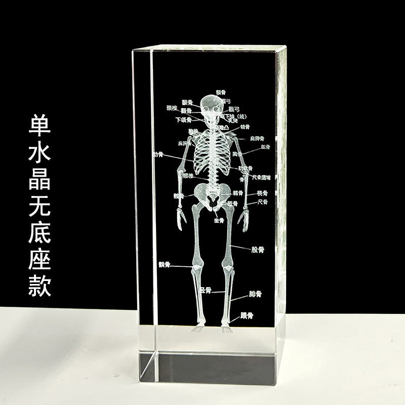 Crystal 3D inner carving human skeleton brain model teaching display ornament medical school sends souvenirs to doctors and students