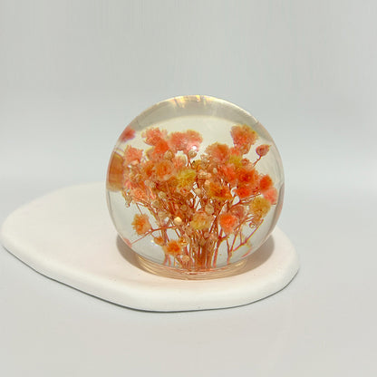 Creative dandelion dried flower specimen crystal ball resin natural wood crafts ornaments home decoration gifts