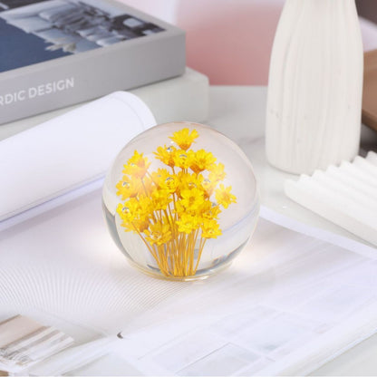 Cross-border Amazon e-commerce explosive real dandelion ecological specimens high permeability plant crystal ornaments gifts are selling well