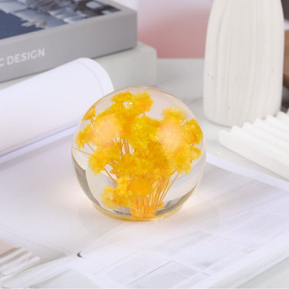 Cross-border Amazon e-commerce explosive real dandelion ecological specimens high permeability plant crystal ornaments gifts are selling well