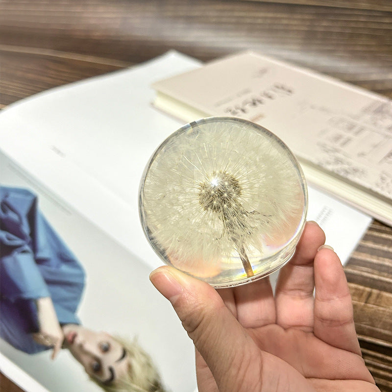 Creative dandelion dried flower specimen crystal ball resin natural wood crafts ornaments home decoration gifts