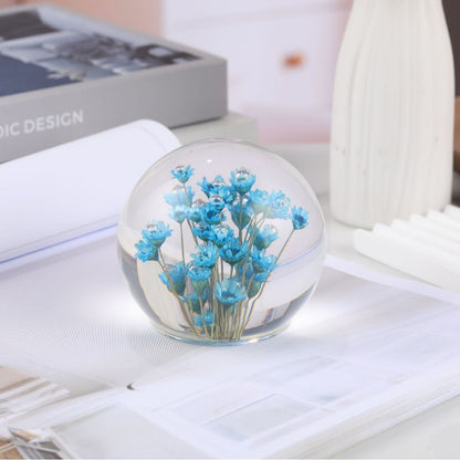 Cross-border Amazon e-commerce explosive real dandelion ecological specimens high permeability plant crystal ornaments gifts are selling well