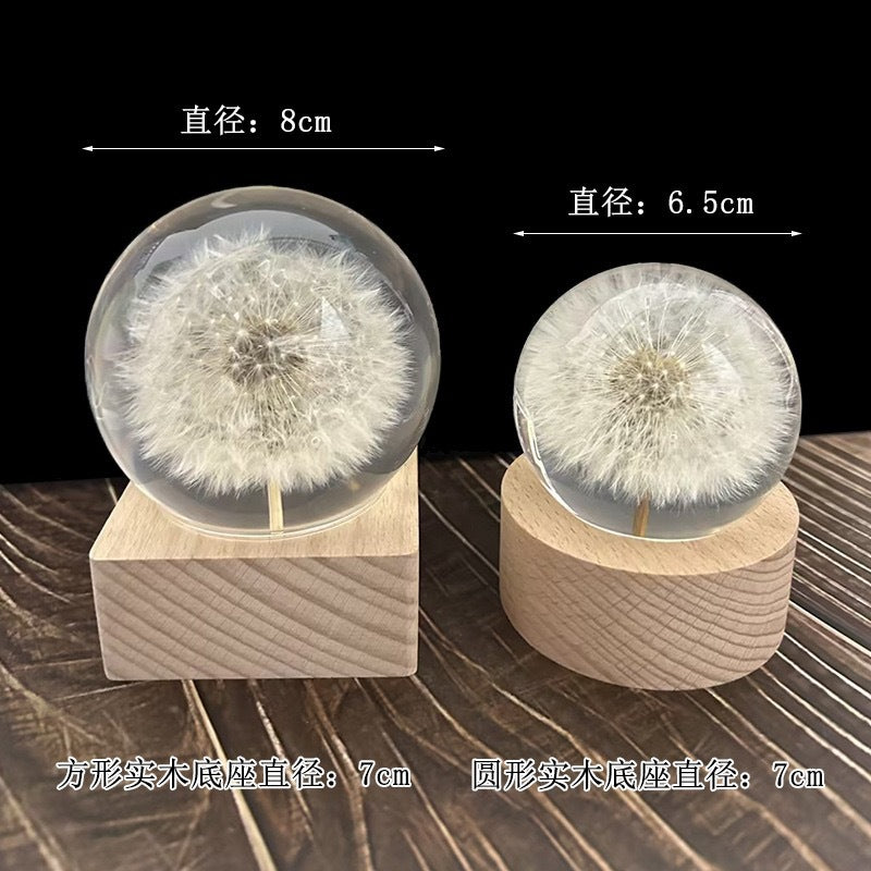 Cross-border Amazon e-commerce explosive real dandelion ecological specimens high permeability plant crystal ornaments gifts are selling well