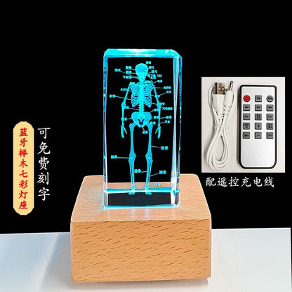 Crystal 3D inner carving human skeleton brain model teaching display ornament medical school sends souvenirs to doctors and students
