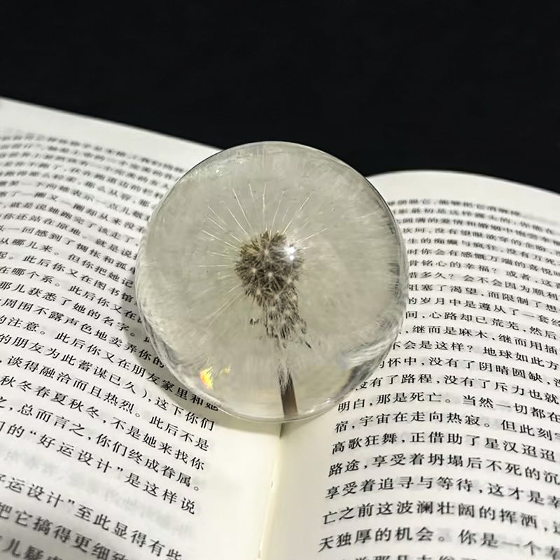 Creative dandelion dried flower specimen crystal ball resin natural wood crafts ornaments home decoration gifts