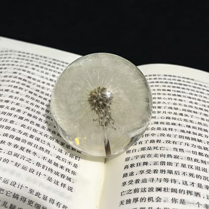 Creative dandelion dried flower specimen crystal ball resin natural wood crafts ornaments home decoration gifts