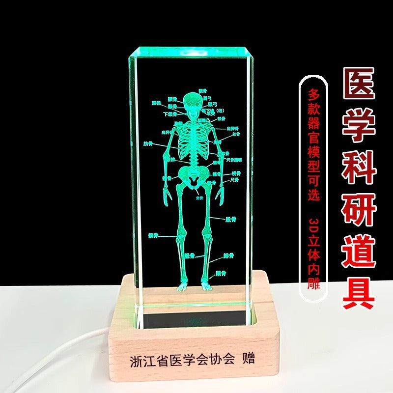 Crystal 3D inner carving human skeleton brain model teaching display ornament medical school sends souvenirs to doctors and students