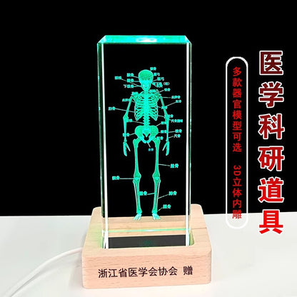 Crystal 3D inner carving human skeleton brain model teaching display ornament medical school sends souvenirs to doctors and students